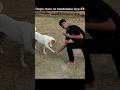 Dog's se maine handshake kiya 🫶🏻 #cute #doglove #doglife #viralshorts #youtube #shorts