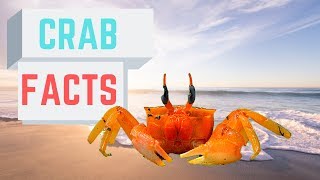 Facts About Crabs