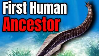 Download Lagu Prehistoric Creatures Scientists Got COMPLETELY Wrong MP3 Download Lagu Prehistoric Creatures Scientists Got COMPLETELY Wrong MP3