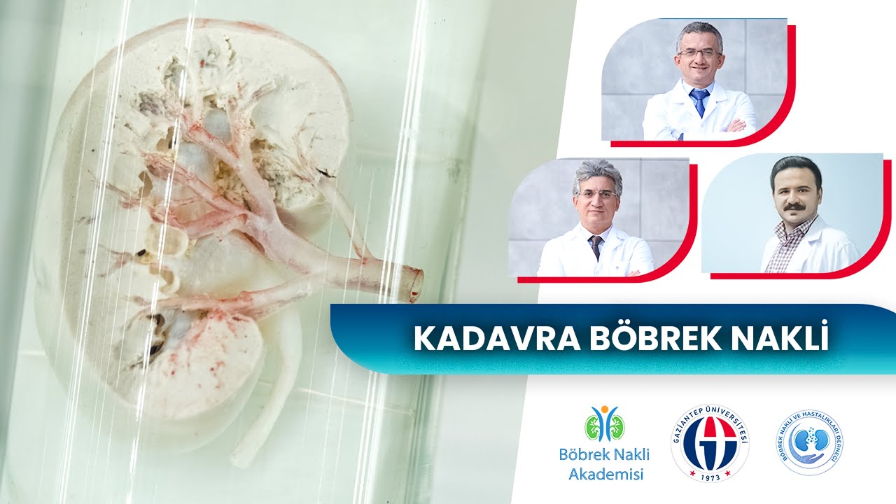 KADAVRA BÖBREK NAKLİ (25.12.2023)