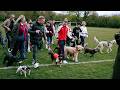 STEPH SIGNS ✍️ | Steph Catley announces new contract on supporter's dog walk!