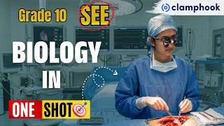 Biology One-Shot | SEE Science