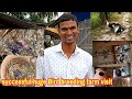 Successful bird breeding farm visit of biswajit da in sundarban village