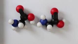 Tutorial using snatoms in a condensation reaction forming a peptide bond