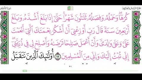 سورة الاحقاف من ١٥ الى ١٨ القارئ ماهر المعيقلي