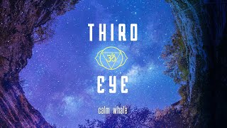 Third Eye Shaman - Transcend Duality - Shaman Drum &amp; RAV Meditation Ajna Chakra | Calm Whale