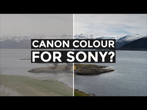 Canon LUTs for Sony Alpha Cameras? EOS Alpha LUTs Review