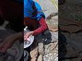 Harvesting Wild Rhubarb (Riwash) in the Mountains of Afghanistan | Desert Cooking &amp; Village Life