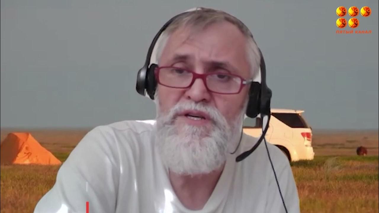 Воробьи падают замертво - YouTube