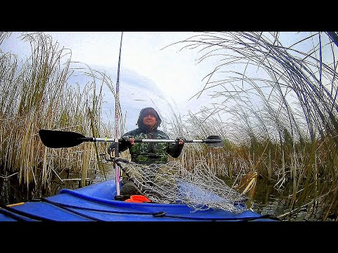 Рыбалка с Лодки на Живца с Подводными камерами.