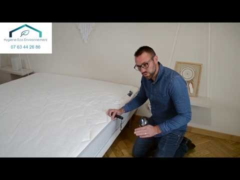 Vidéo: Les punaises de lit peuvent-elles entrer dans les bacs en plastique ?