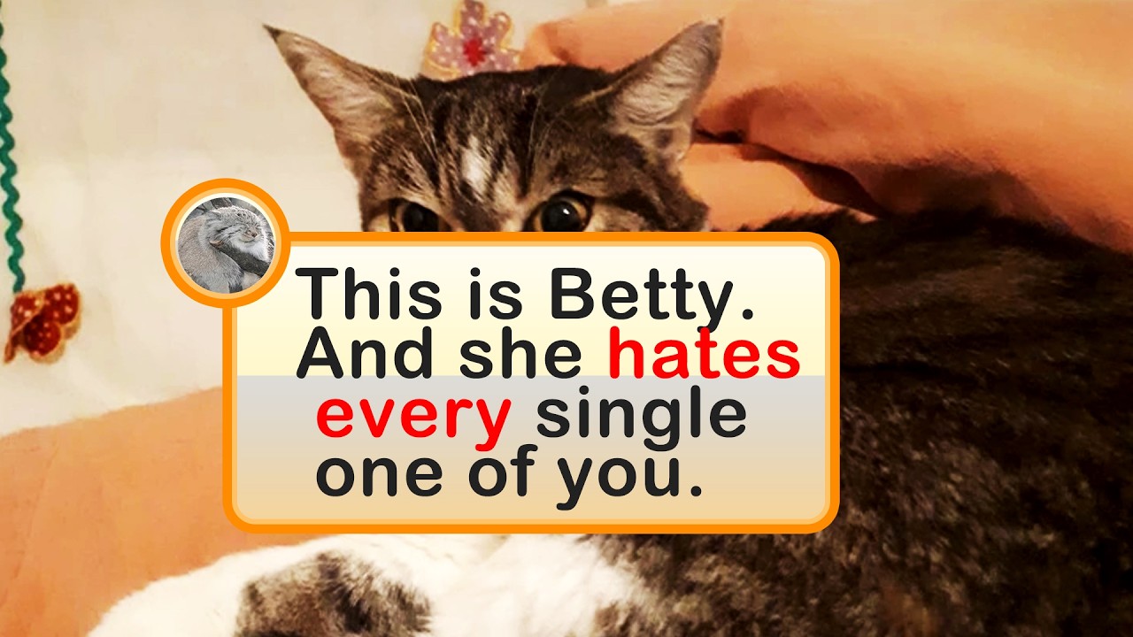 Awkward Animal Photos That Are Impossible To Unsee