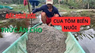 Bất ngờ với thức Ăn cho cua tôm biển nuôi