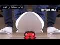 مسترس نورا عمتكم وتاج راسكم مسترس خاضع اقدام شيكورة عمة عنيفة Feetslave Mistress Findom