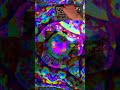 Pittsburgh Modular Lifeforms Voltage Lab - First Steps [NoTalking]  [Visualizer] part 2