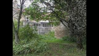 The Bear, John Mayall