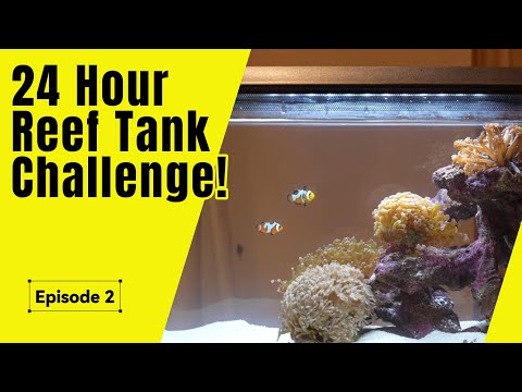 Adding Fish & Corals to the TMC First Wave 48!