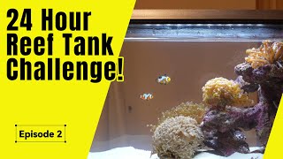 Adding Fish & Corals to the TMC First Wave 48!