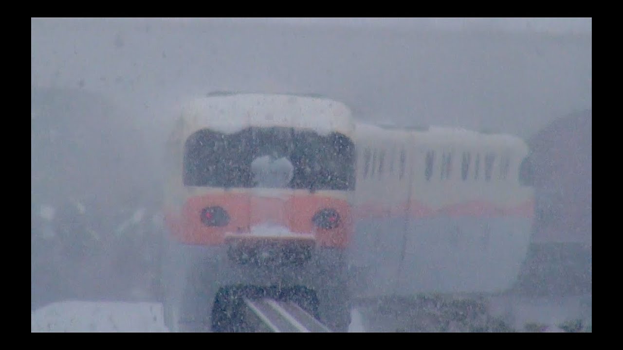 大雪の中、リゾートラインに乗りました（2014年2月8日（土）TDR）