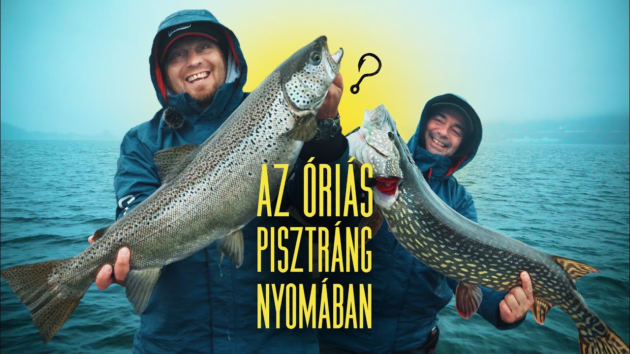 Holahal? 50 -Az óriás pisztráng nyomában