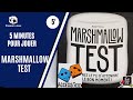 5 minutes pour jouer  marshmallow test   rgles accessibles avec sous titres