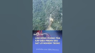 🚨 KHẨN CẤP: Lâm Đồng Công Bố Thiên Tai Sau Sạt Lở Đèo Prenn, Đóng Cửa Toàn Tuyến!