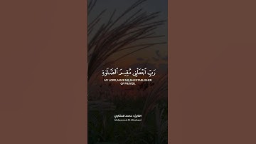 رب اجعلني مقيم الصلاة ومن ذريتي، تلاوة خاشعة للقارئ #محمد_صديق_المنشاوي #قرآن #quran #اكسبلور #short
