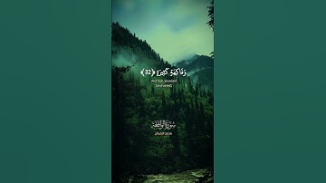 (وَأَصْحَابُ الْيَمِينِ مَا أَصْحَابُ الْيَمِينِ)#محمد_اللحيدان #سورة_الواقعة