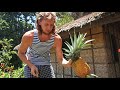 Как растут ананасы у нас на участке 31 августа 2017