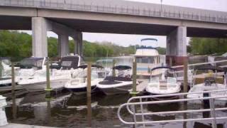 Occoquan River Festival May 2009