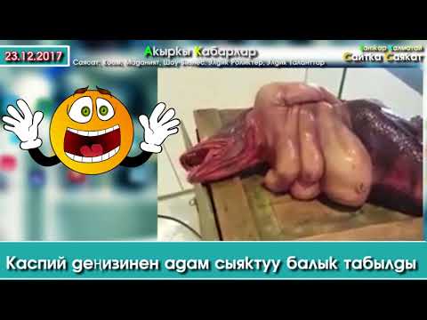 Video: Пандемияга байланыштуу байкалбай калган илимий жетишкендиктер