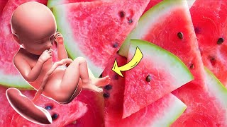 شاهدي تأثير البطيخ على جمال الجنين وماذا يحدث للحامل عندما تتناول البطيخ !؟