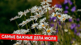 Самые важные дела июля