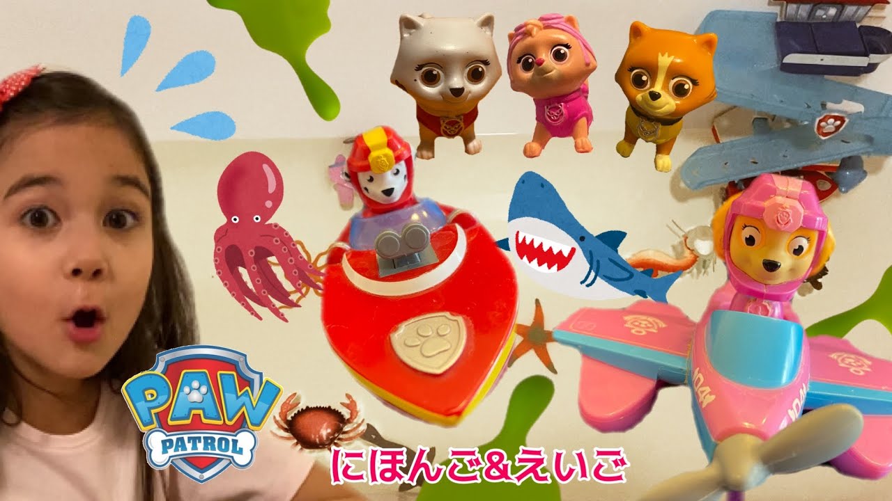 パウパトロール パウパトロールねこがイタズラをしたぞ うみのいきものをレスキュー うみのいきものを英語でいえるかな Paw Patrol Rescue Sea Creatures Youtube パウパトロール パウパトロールねこがイタズラをしたぞ うみのいきものをレスキュー うみのいきものを英語でいえるかな Paw Patrol Rescue Sea Creatures Youtube