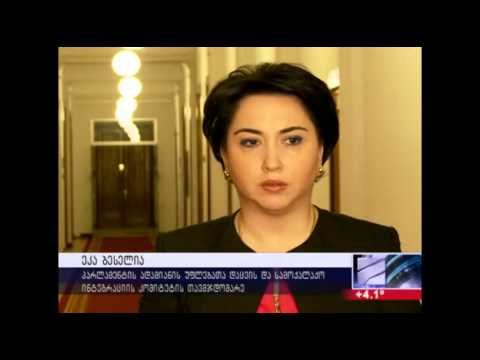 ეკა ბესელია \"ქართულ ოცნებაში\" ახალი სახეების ძიების ფაქტს ადასტურებს