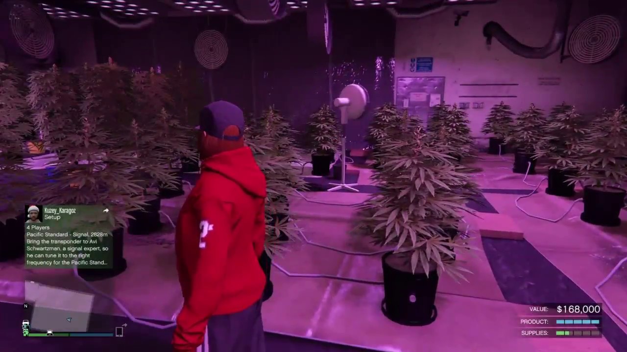 How To Get A Weed Farm On Gta5 Ps4 Youtube