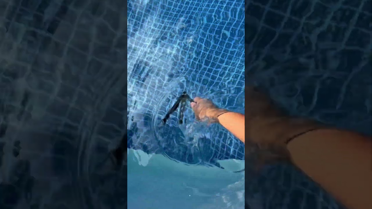 Can you do balisong tricks underwater? 