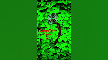 Compoform Clover v2 Slider Review Incoming… #slider #fidget #fidgettoys #haptic #spinner