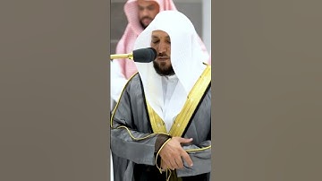 الشيخ ماهر المعيقلي ترتيل خاشع #سورة البلد