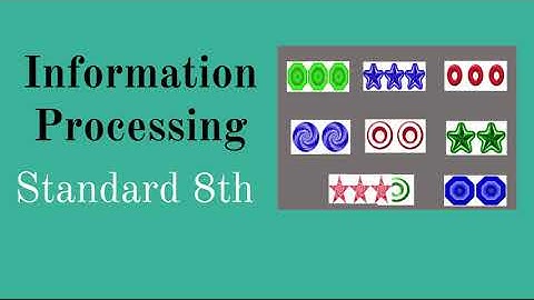 8th Std Maths Information Processing  Exercise 7.4 | 8th std Maths Samacheer Kalvi NEW Syllabus 2020