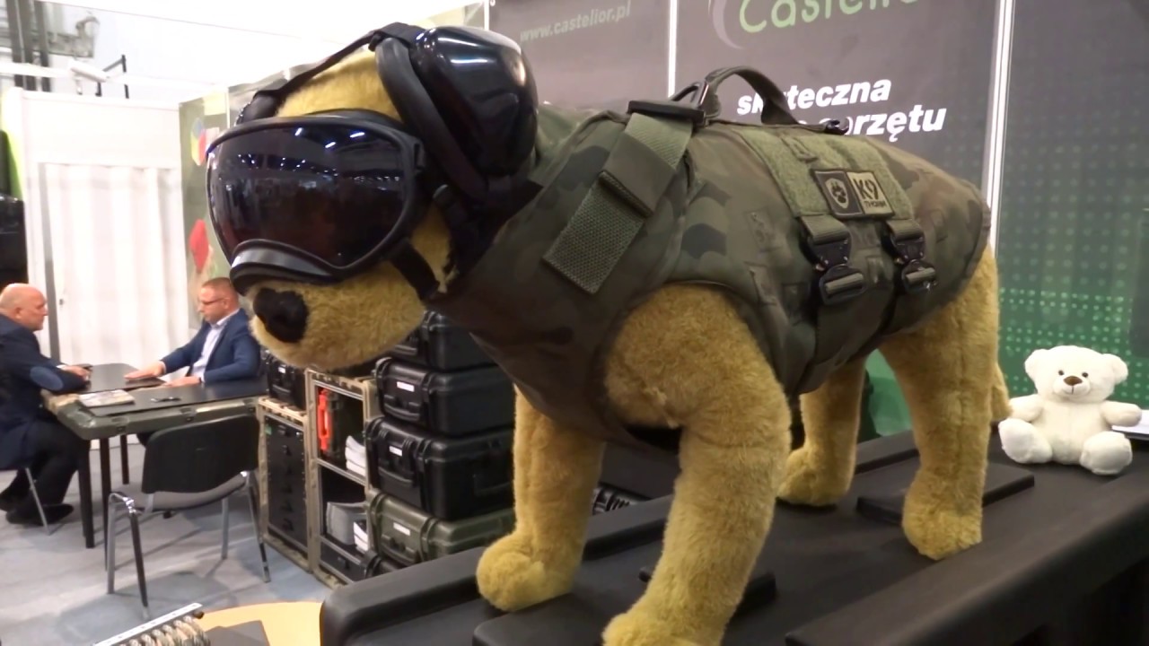 Bulletproof dog vests MSPO 2017 YouTube
