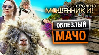 Облезлый мачо. Осторожно, мошенники! @Центральное Телевидение