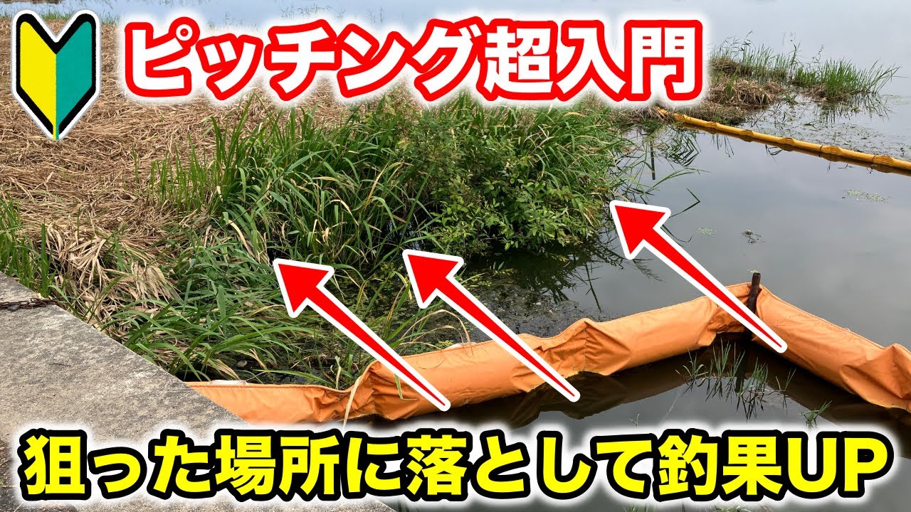 【バス釣り】簡単にできるピッチングのやり方のコツをゆっくり解説