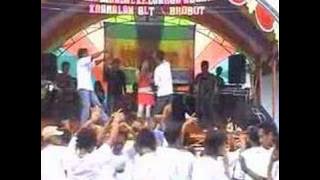 Kucing garong - Tieska