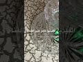 اغرب منتجات الانترنت الفيديو كامل على القناه