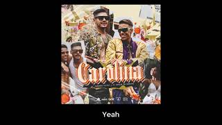 Hungria Hip Hop & MC Paulin da Capital - Carolina (LETRA)