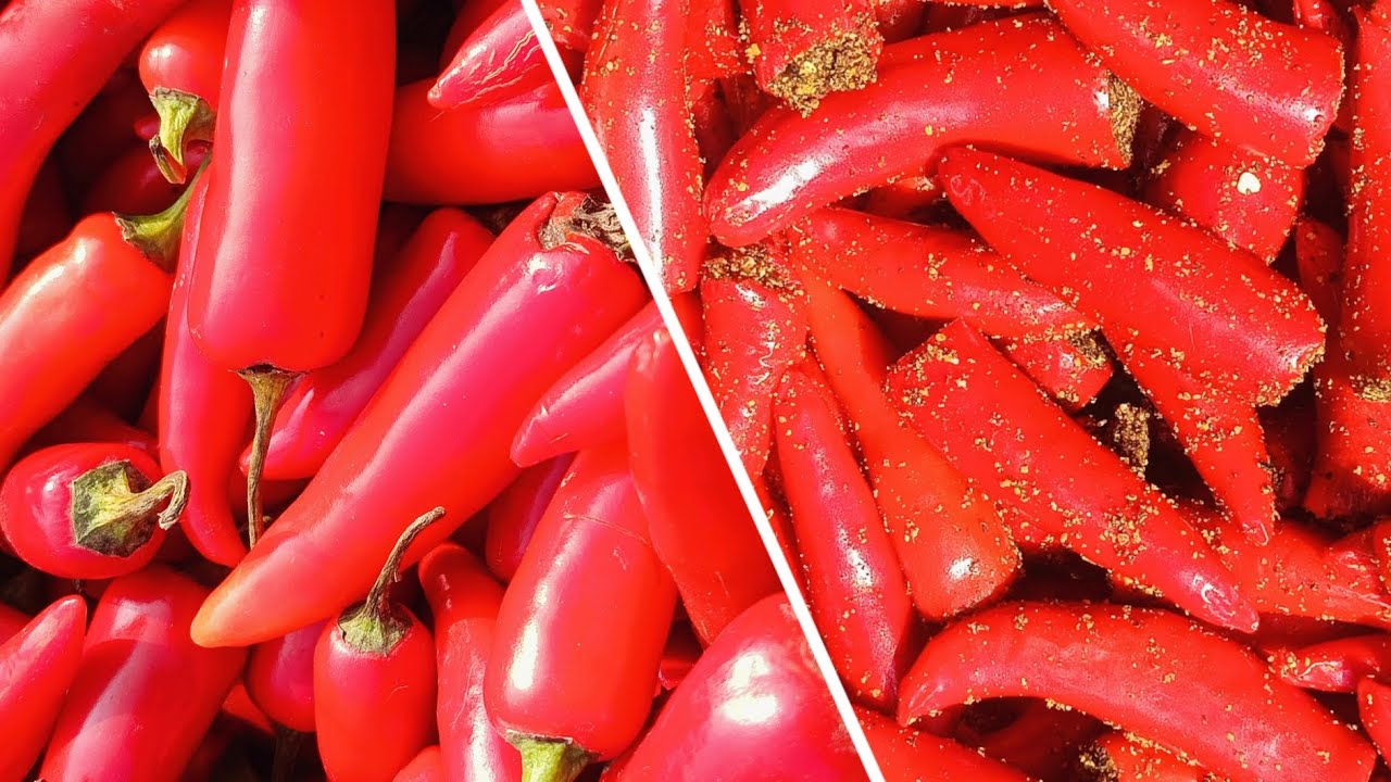 🌶️ आसान तरीके से बनाए घर पर ही। लाल मिर्च 🌶️ का आचार।