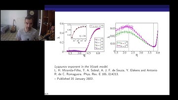 Lyapunov exponent in the Vicsek model