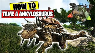How to tame Ankylosaurus In ark mobile।  Max lavel Ankylosauraus taming