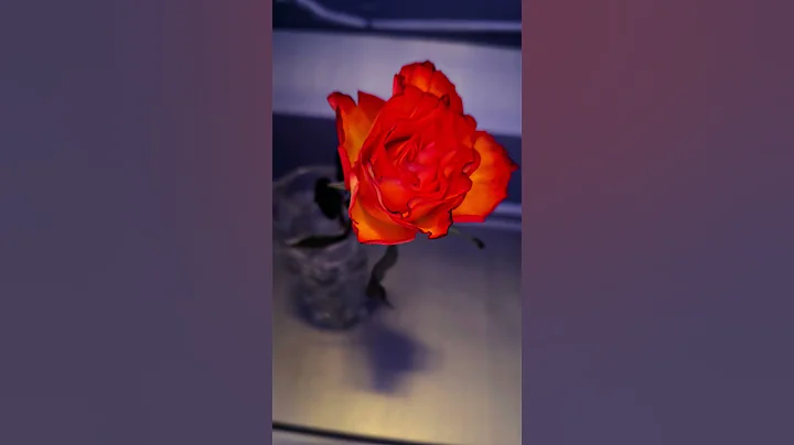 Choose your side | #recommendations #psychology #mishaswiss #wisdom